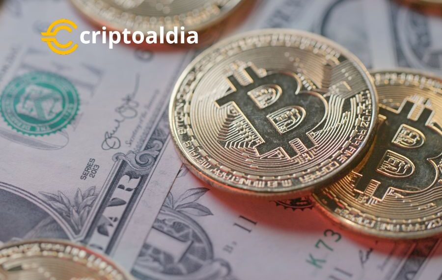 Bitcoin Mantiene su Curso: Resiliencia Frente al Dólar Más Débil de EE.UU. en 2024