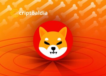Shiba Inu Atrae Nuevas Oportunidades Tras la Caída