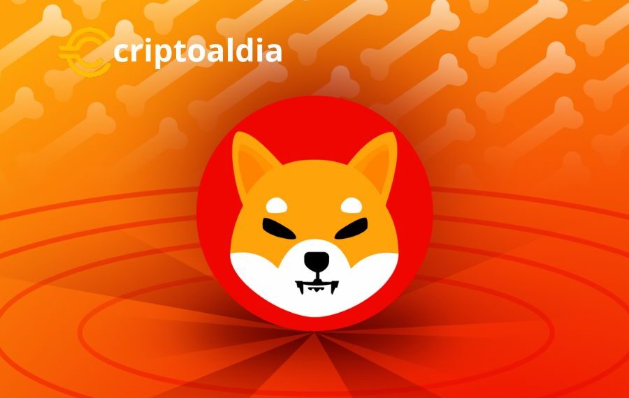 Shiba Inu Atrae Nuevas Oportunidades Tras la Caída