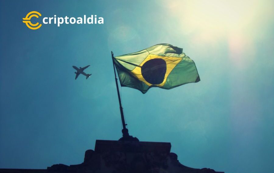 Elon Musk Cumple la Ley y Brasil Toma Medidas: La Controversia de la Clausura de Twitter