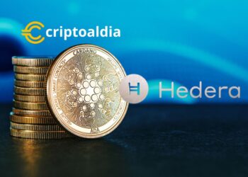 Cardano y Hedera Forjan Alianza para Revolucionar los Activos Digitales