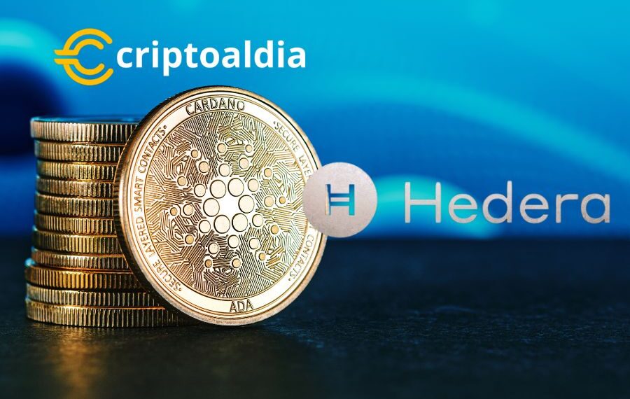 Cardano y Hedera Forjan Alianza para Revolucionar los Activos Digitales