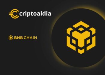 BNB Impulsa el Mercado: Aumento del 66.5% en el Volumen de Negociación en las Últimas 24 Horas