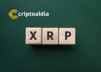 Bitwise Redobla su Apuesta: Lanza Nuevo ETF tras el Éxito de su ETF de XRP