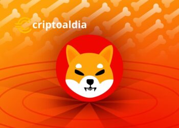 ¡El Ecosistema de Shiba Inu en Llamas! La Tasa de Combustión Crece un 544% y Potencia su Desarrollo