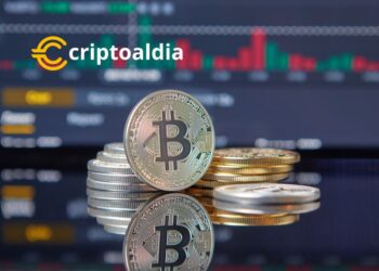Bitcoin Enfrentará una «Década de Locos» con el Auge del Interés de Gestoras de Patrimonio