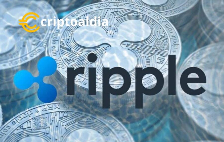 Cofundador de Ripple Dona 1 Millón en XRP a Kamala Harris