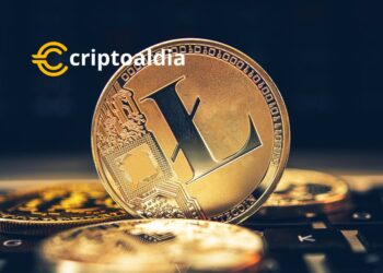 Canary Capital Group LLC Apuesta por Litecoin con Nueva Solicitud de ETF