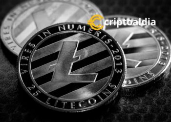 El ETF de Litecoin genera un creciente interés institucional