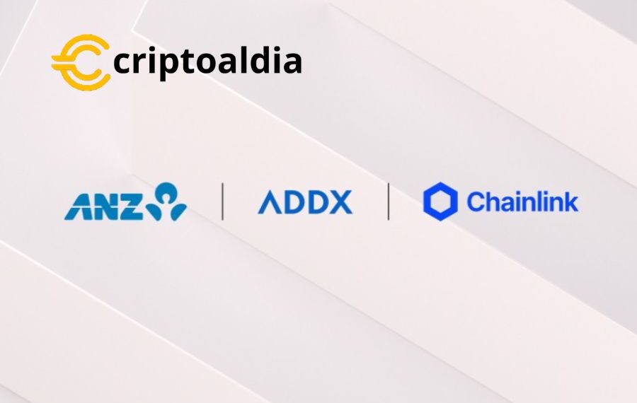 «Innovadora Solución Transfronteriza y de Cadena Cruzada Revolucionaria el Mercado Financiero»