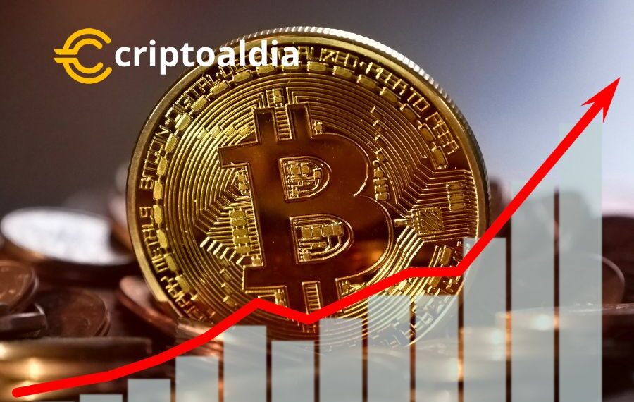 El mercado de Bitcoin se agita: dos ballenas compran $142 millones tras la victoria de Trump 🐋