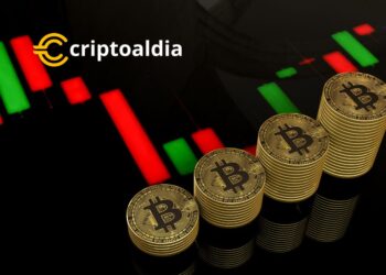 Las Ballenas de Bitcoin Elevan el Ánimo en el Mercado 🌊💹