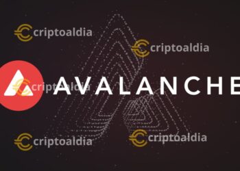Avalanche se establece como pionero en la experiencia de usuario de cadena única