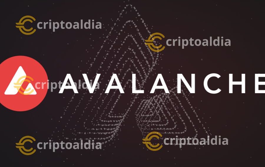 Avalanche se establece como pionero en la experiencia de usuario de cadena única