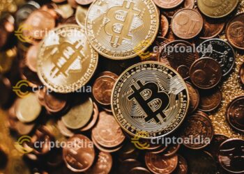 Florida da un paso audaz hacia el futuro: Reserva de Bitcoin en 2025, una jugada estratégica para el fondo de pensiones