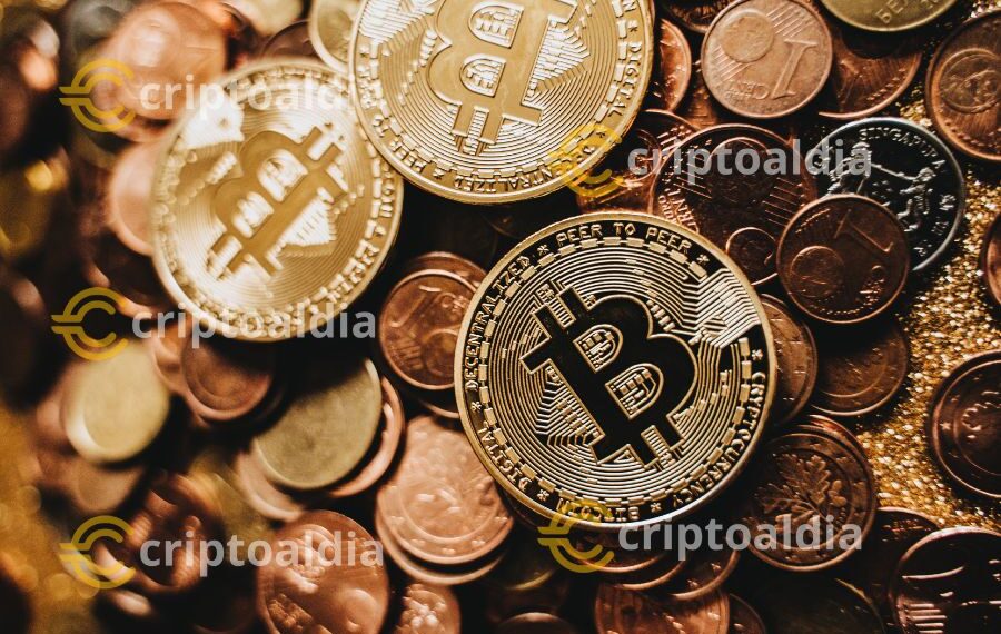 Florida da un paso audaz hacia el futuro: Reserva de Bitcoin en 2025, una jugada estratégica para el fondo de pensiones