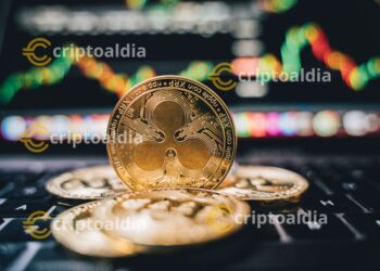 XRP se dispara: El encuentro de Brad Garlinghouse con Trump genera nuevas expectativas
