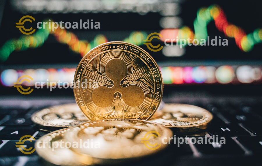 XRP se dispara: El encuentro de Brad Garlinghouse con Trump genera nuevas expectativas
