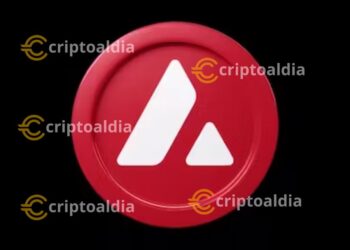 ¡Innovación en Avalanche! Bounty9000 revoluciona la creación de herramientas y aplicaciones de IA 🌐