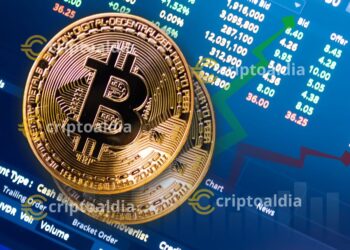 “De la Caída al Renacimiento: Bitcoin y el Impacto del Proyecto DeFi de Trump”