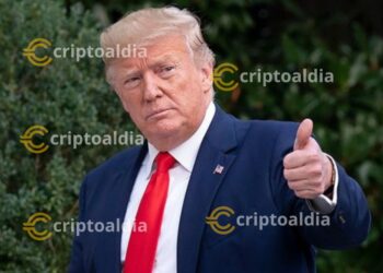 TRUMP SACUDE EL MERCADO: SU INFLUENCIA TRANSFORMA EL PANORAMA CRIPTO