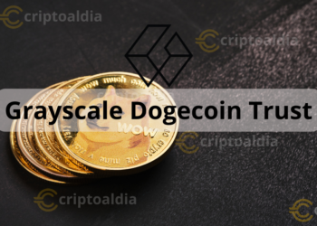 Grayscale Lanza Fideicomiso de Dogecoin