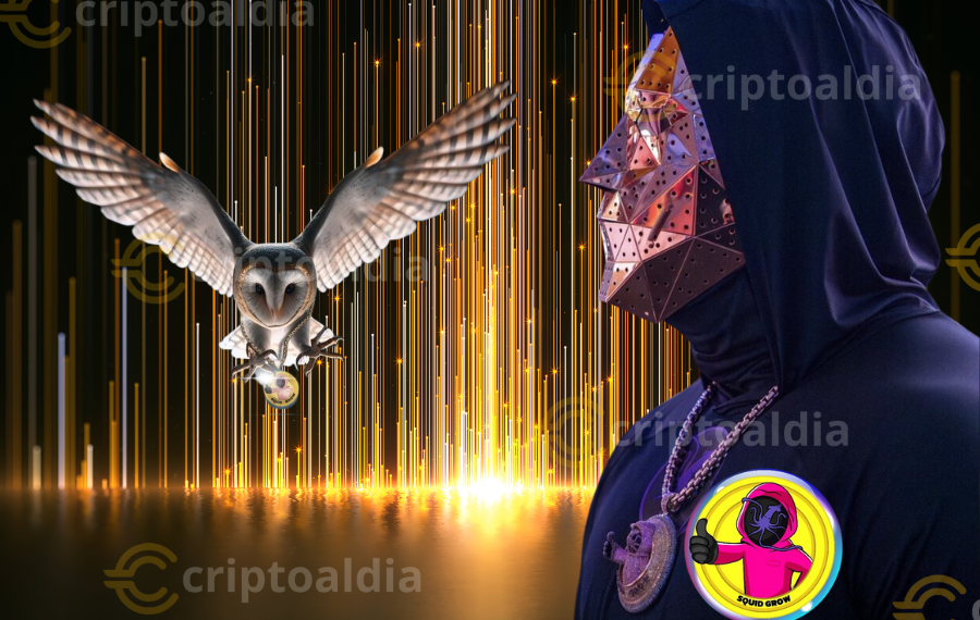 Shibtoshi: El visionario detrás de Squid Grow y SilentSwap