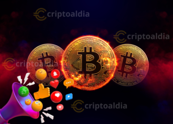 Bitcoin: ¿El Rey de las Criptomonedas o Una Memecoin con Historia?