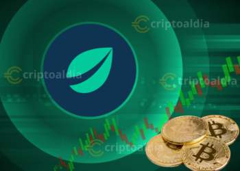 Bitfinex Alerta sobre Señales Bajistas en Bitcoin: ¿Qué Esperar del Mercado?