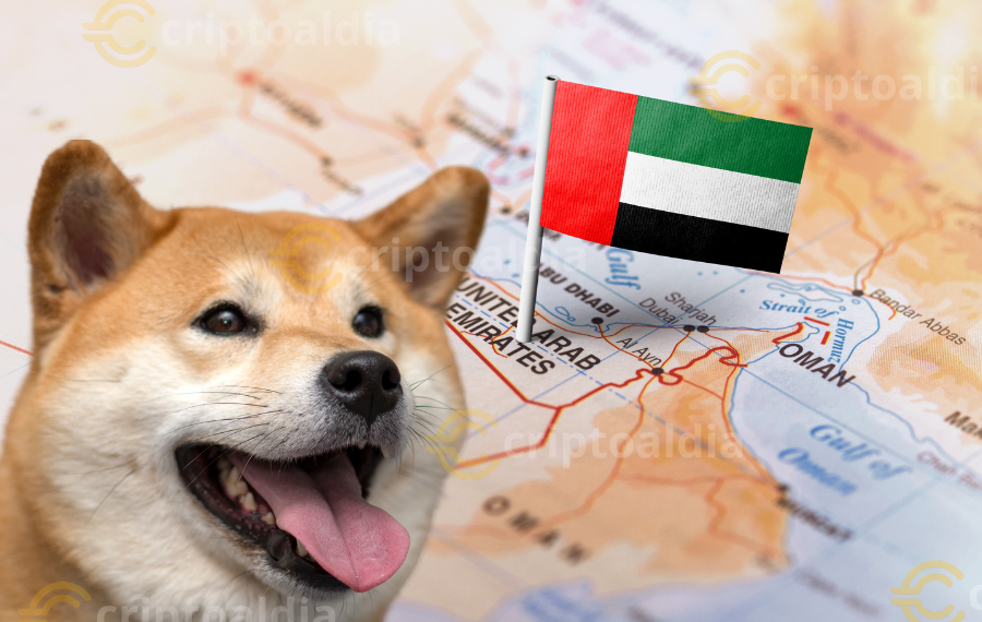 Shiba Inu se asocia con los Emiratos Árabes Unidos