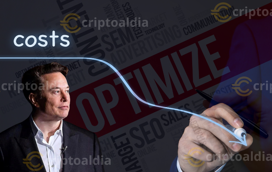 Elon Musk y su Misión de Reducción de Costos Gubernamentales