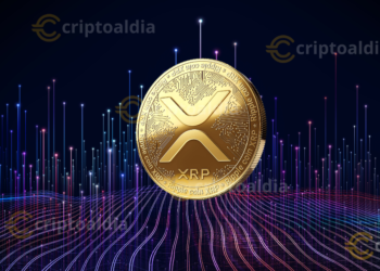 Ripple Custody: La Revolución de la Custodia Digital en el Mercado Financiero