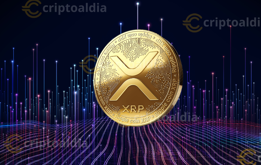 Ripple Custody: La Revolución de la Custodia Digital en el Mercado Financiero