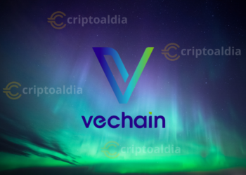 VeChain revoluciona la adopción con inicios de sesión sociales y Privy
