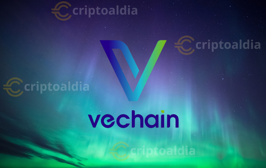 VeChain revoluciona la adopción con inicios de sesión sociales y Privy
