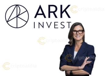 Ark Invest y la Tokenización: La Revolución Financiera que se Aproxima