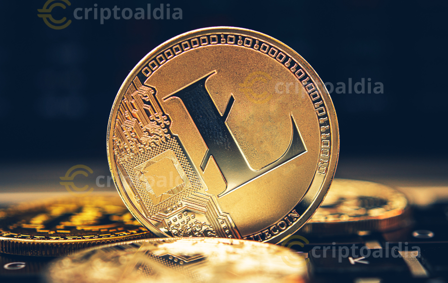 MWEB de Litecoin: La Evolución en Privacidad y Escalabilidad