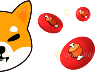 Bone: La Revolución Silenciosa del Ecosistema Cripto