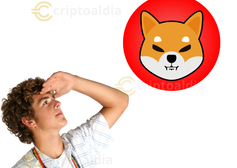 El silencio de Shytoshi Kusama inquieta a la comunidad SHIB, pero el ecosistema sigue avanzando