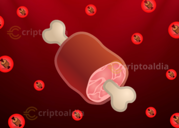BONE lidera la revolución de Web3 con utilidad real y adopción imparable