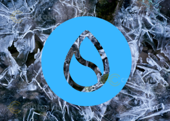 SUI bajo el microscopio: el dilema de la descentralización tras el hackeo de Cetus