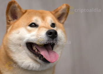 Shiba Inu al Alza: Las Ballenas Marcan el Ritmo de un Potencial Aumento del 20%