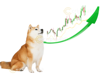 Shiba Inu se prepara para un repunte del 38% impulsado por señales técnicas y menor oferta en exchanges