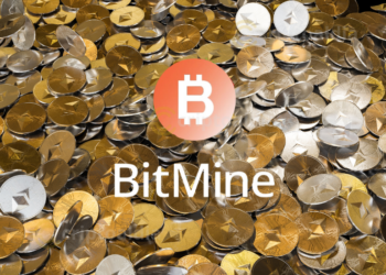 Bitmine consolida el mayor tesoro de Ethereum a nivel global