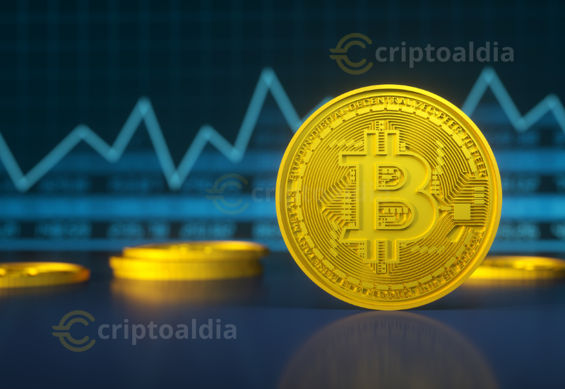 Bitcoin pierde soporte clave y aumenta la presión hacia niveles críticos de precio