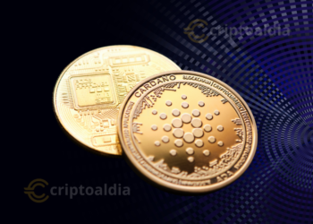 Cardano fortalece su posición en 2025 con respaldo institucional y adopción minorista