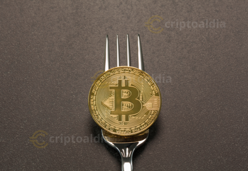 Los grandes tenedores de Bitcoin migran hacia los ETF impulsados por ventajas fiscales y regulaciones favorables