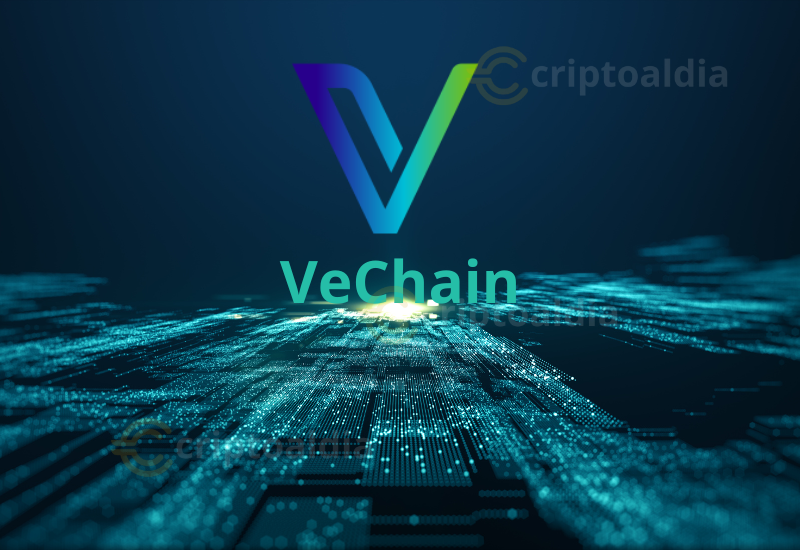 VeChain fortalece la adopción Web3 con alianzas estratégicas junto a marcas globales