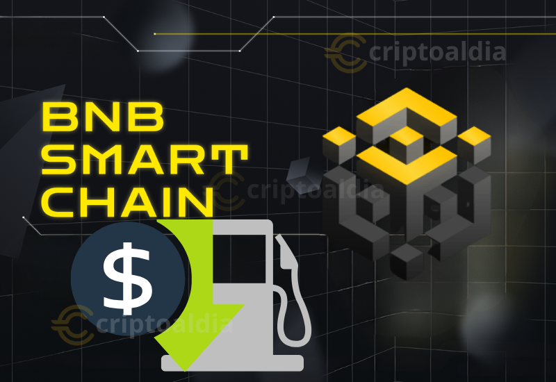 BNB Smart Chain reduce sus tarifas de gas a 0.05 Gwei y consolida su eficiencia en el mercado