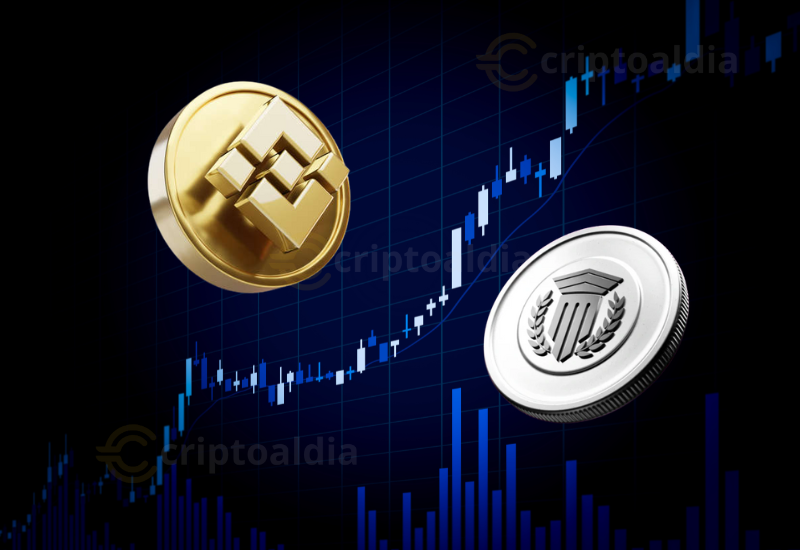 BNB consolida su recuperación impulsada por apoyo institucional y auge en la preventa de Mutuum Finance